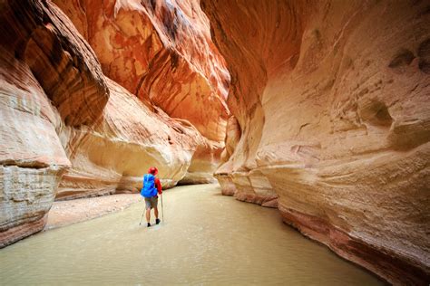 best slot canyon utah|Best Slot Canyons In Utah .